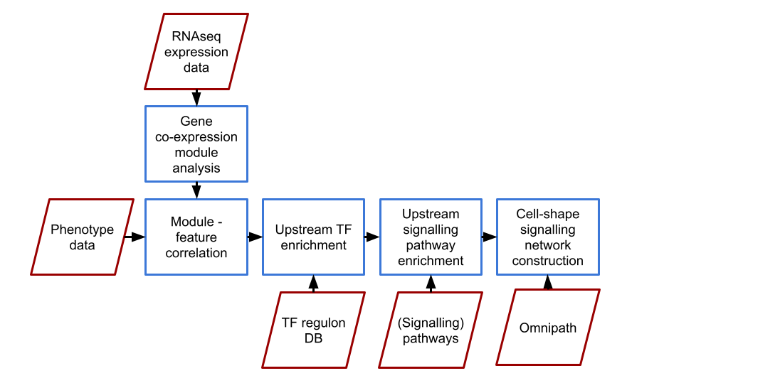 Process Chart